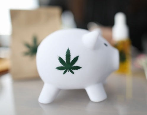 Cannabis Banking 101: Fundamentals, Legalities, and Limitations