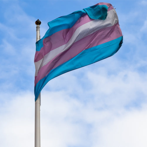How to Support Transgender Students This Year