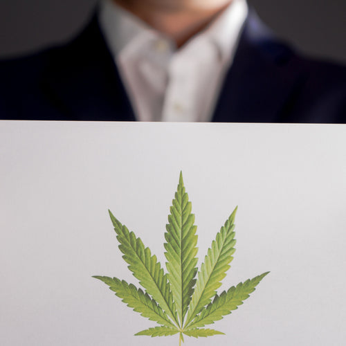 Marijuana In The Workplace: Write Your Policy Live With An Employment Lawyer