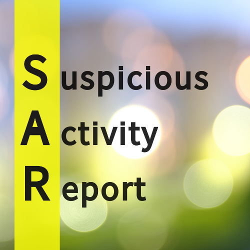 SAR Audit: Tactics To Predict And Avoid Issues