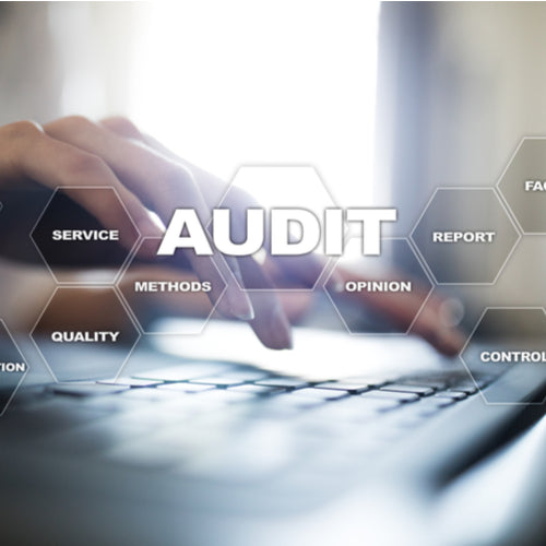 Certified Audit Professional Program