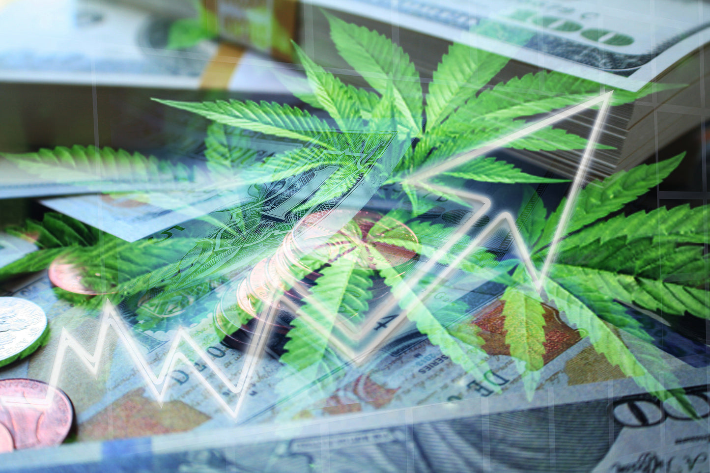 Advanced Cannabis Banking: Renewal Training