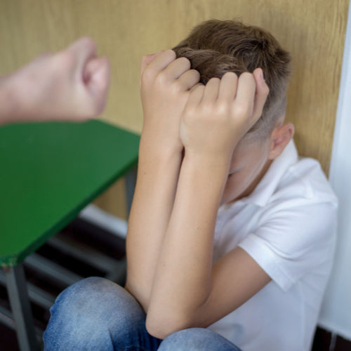 So You Have a Student With Aggressive or Violent Behavior...Now What?