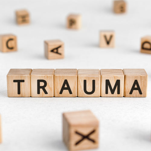 So You Have a Student With Trauma/PTSD... Now What?